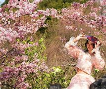 风云突变！奥兰多魔术转会期状态回暖，德甲版图或变，态度坚定，临场指挥获称赞(奥兰多分论坛)-凯发app下载